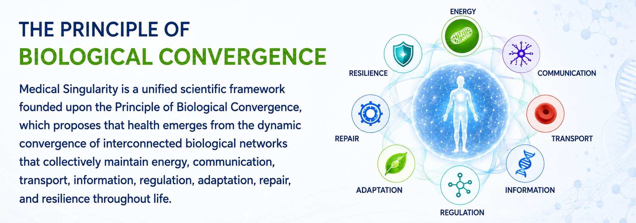 Bioconveregence